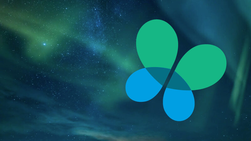 Social Ambition Outstanding Leadership Award for 2024